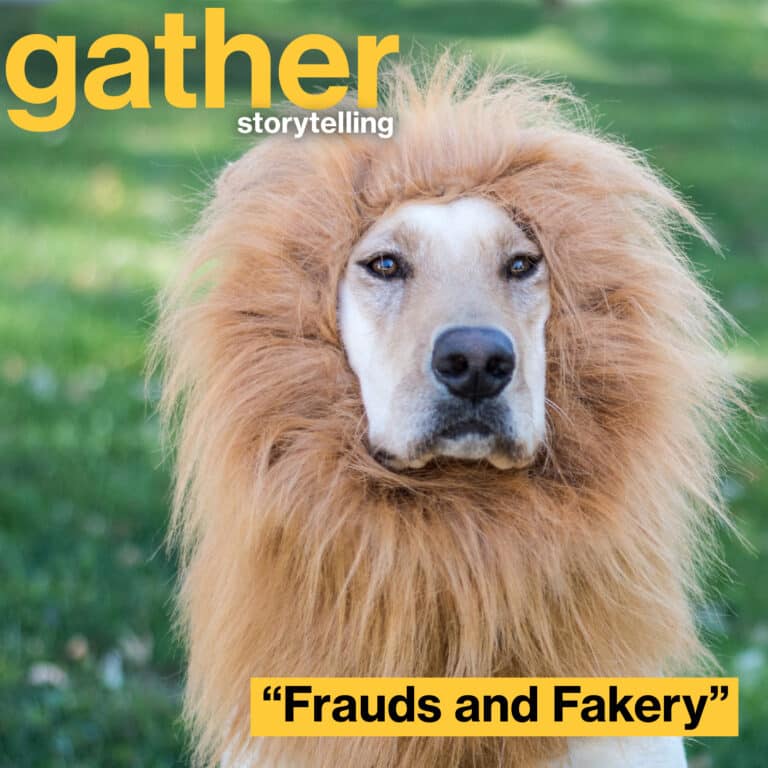 Golden labrador dog in fake lion's mane stands in a grassy field